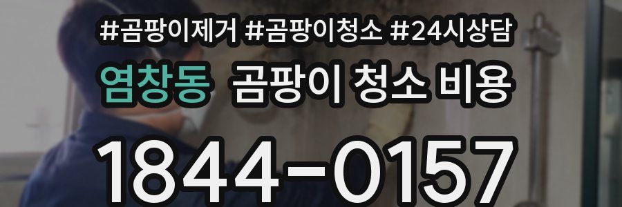 염창동 곰팡이 청소 비용