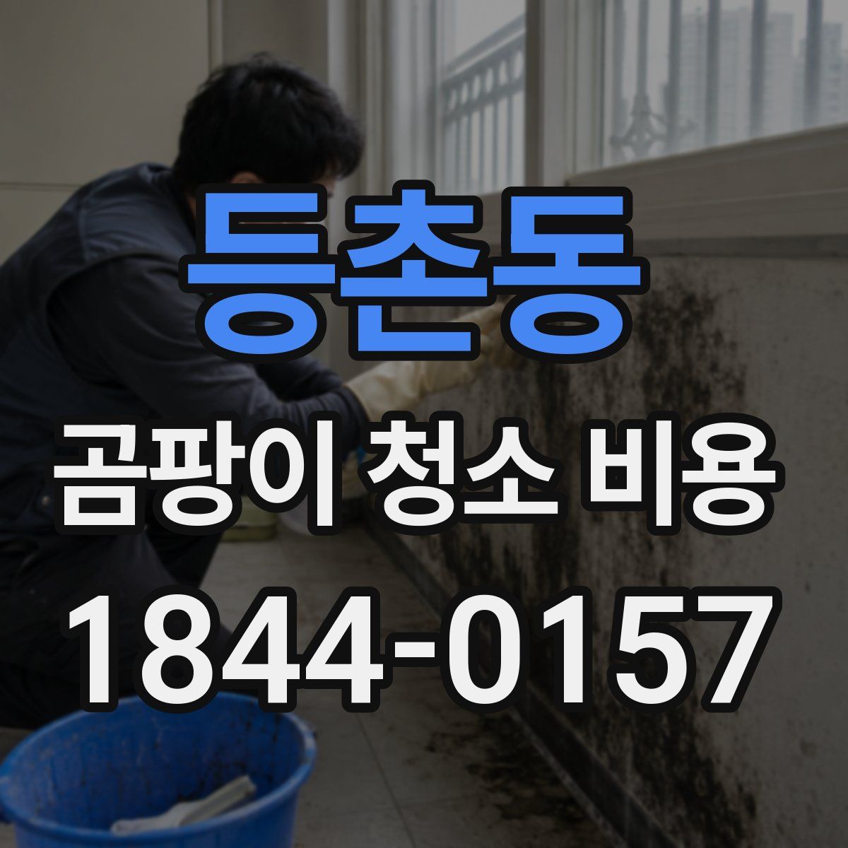 등촌동 곰팡이 청소 비용