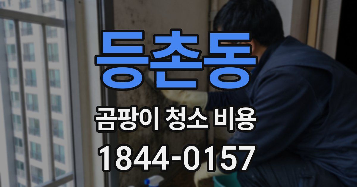 등촌동 곰팡이 청소 비용