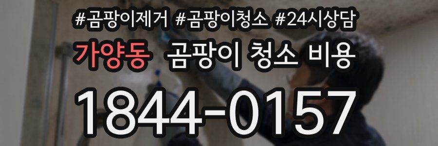 가양동 곰팡이 청소 비용