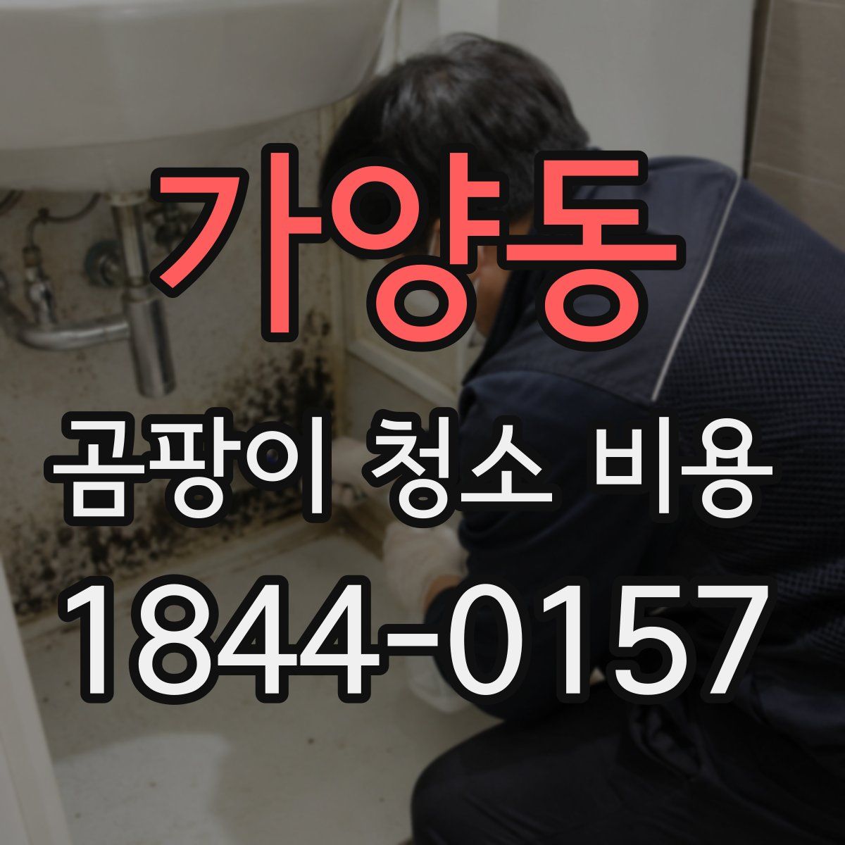 가양동 곰팡이 청소 비용