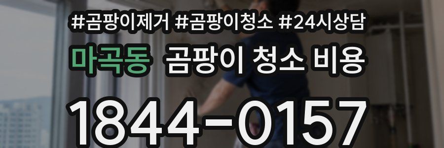 마곡동 곰팡이 청소 비용