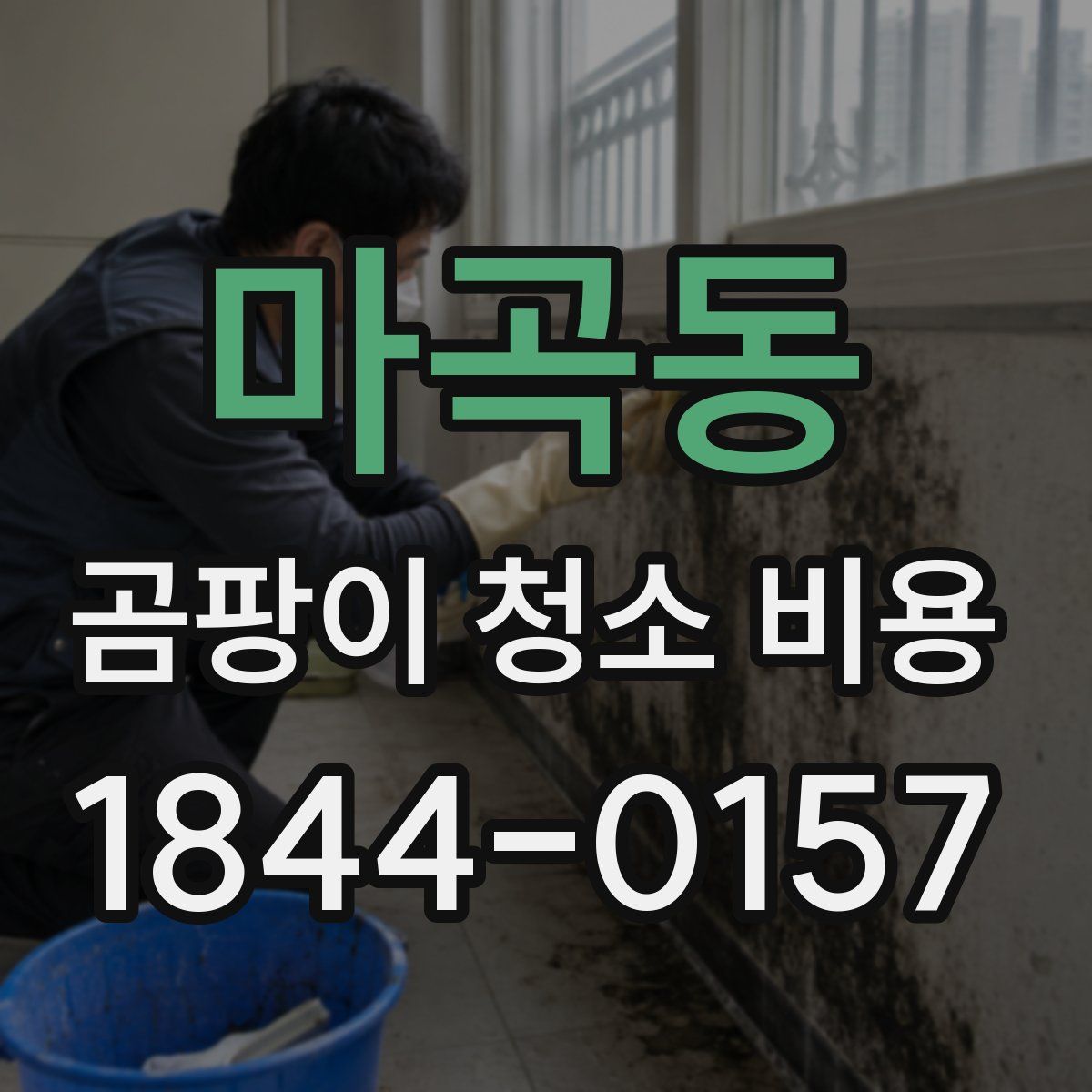 마곡동 곰팡이 청소 비용