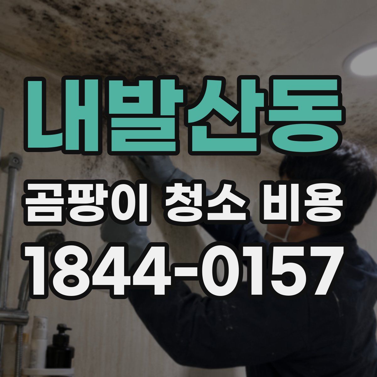 내발산동 곰팡이 청소 비용