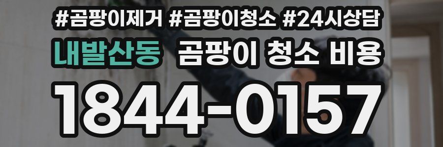 내발산동 곰팡이 청소 비용