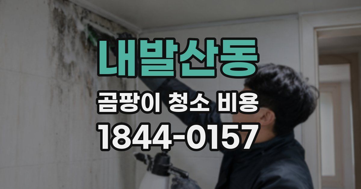 내발산동 곰팡이 청소 비용