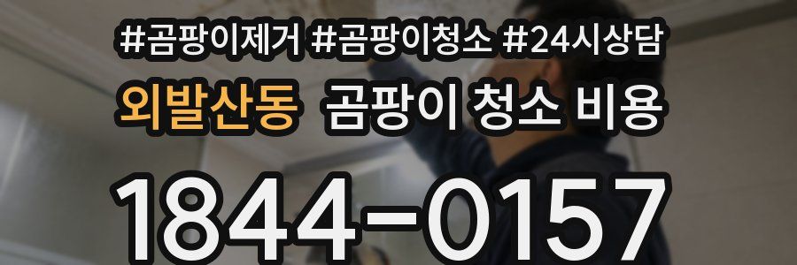 외발산동 곰팡이 청소 비용