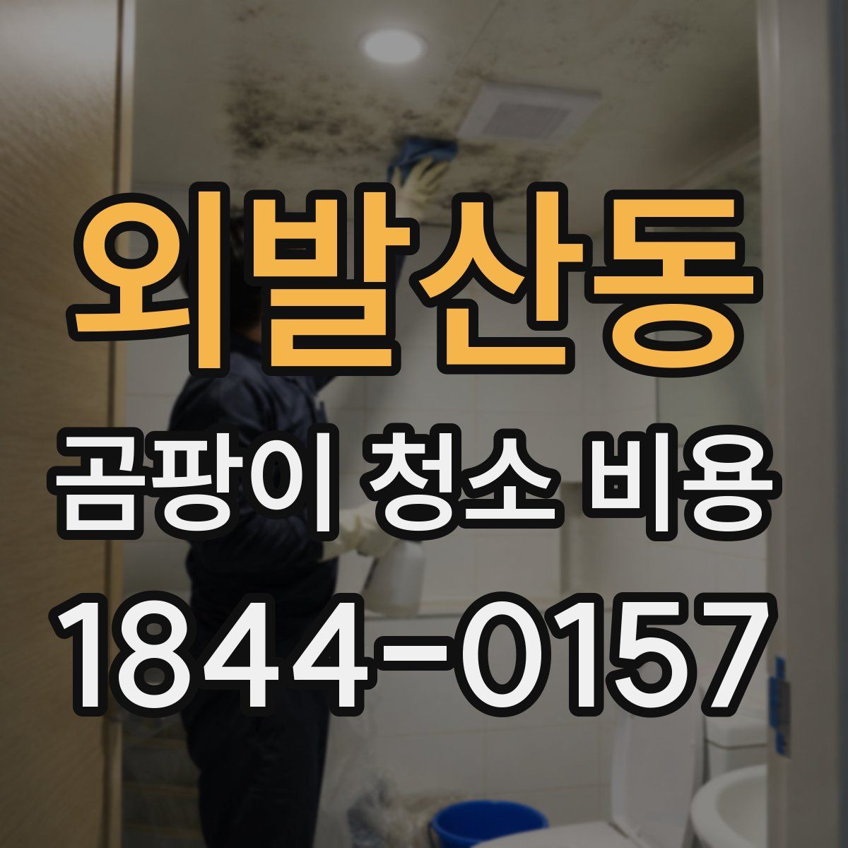 외발산동 곰팡이 청소 비용