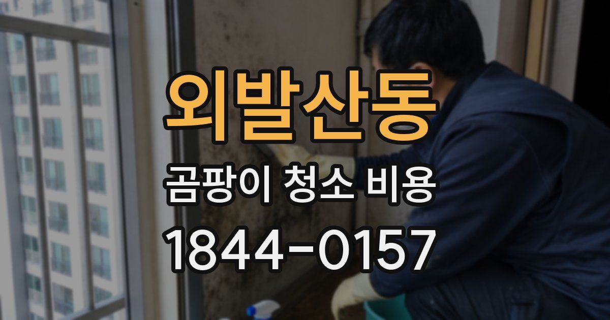 외발산동 곰팡이 청소 비용