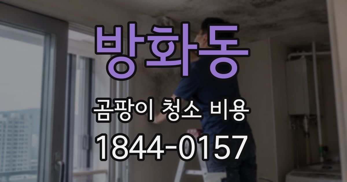 방화동 곰팡이 청소 비용