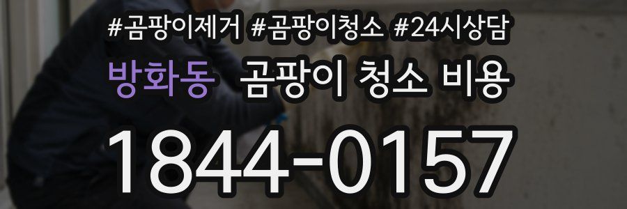 방화동 곰팡이 청소 비용