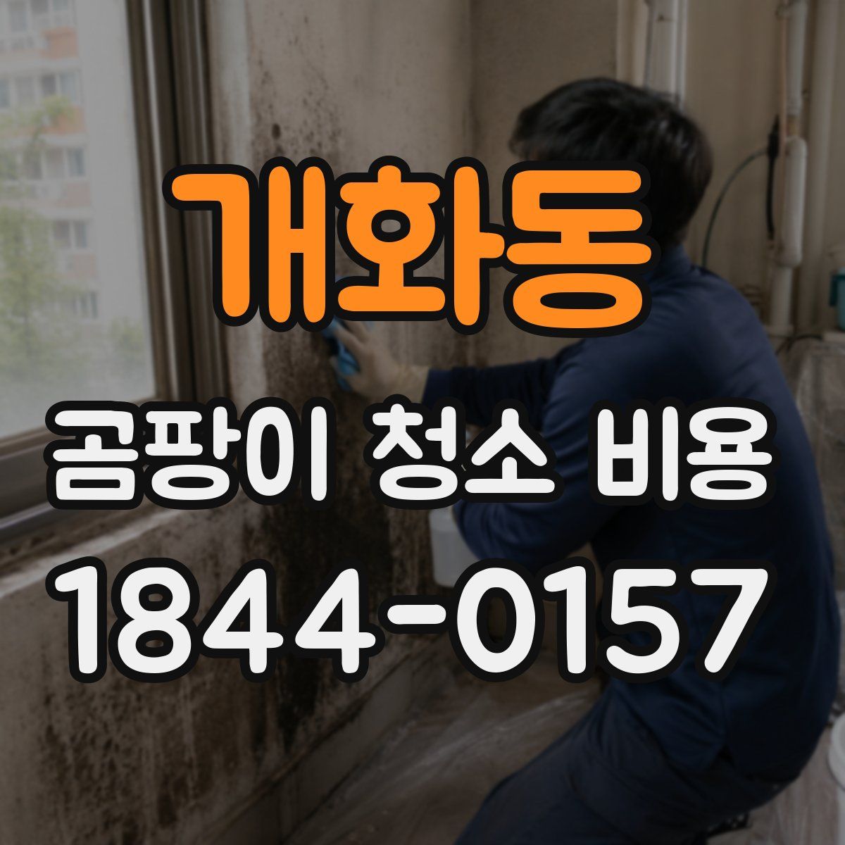 개화동 곰팡이 청소 비용