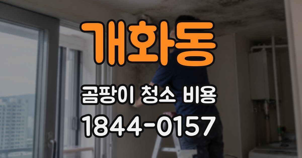 개화동 곰팡이 청소 비용