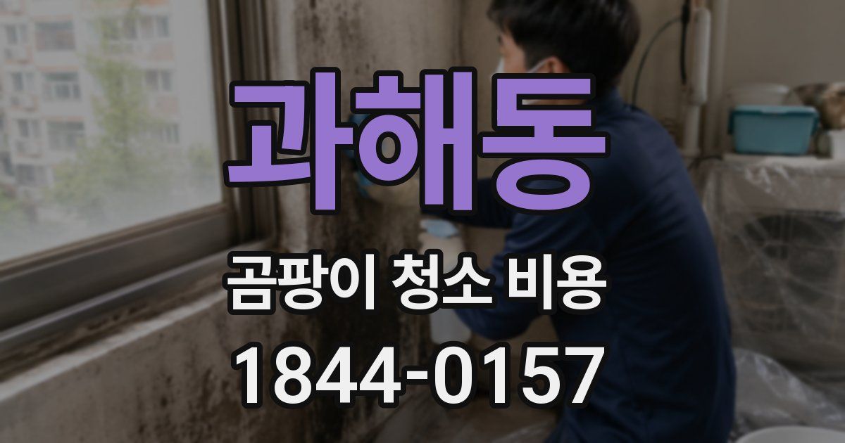 과해동 곰팡이 청소 비용