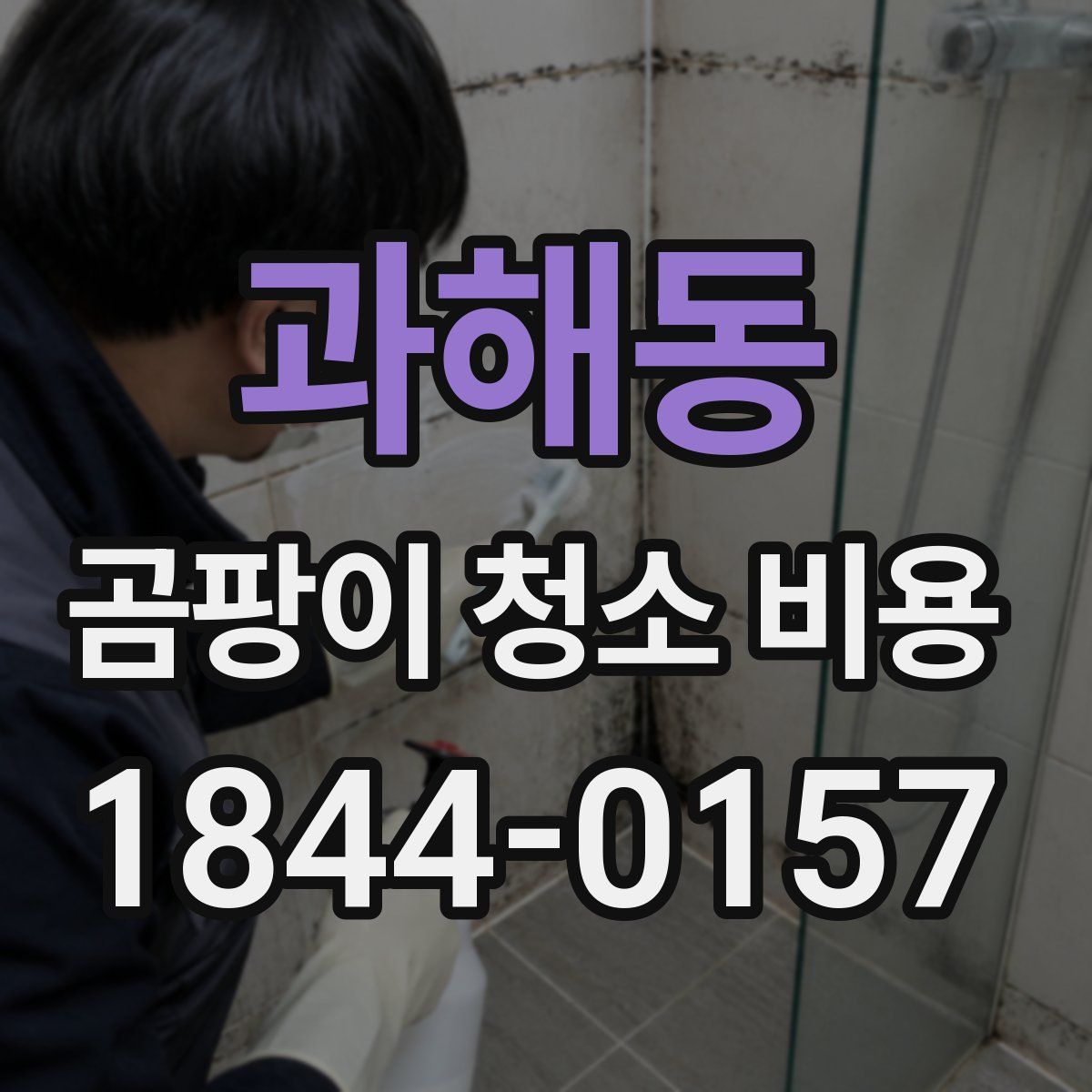 과해동 곰팡이 청소 비용