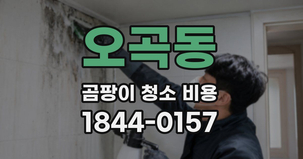 오곡동 곰팡이 청소 비용
