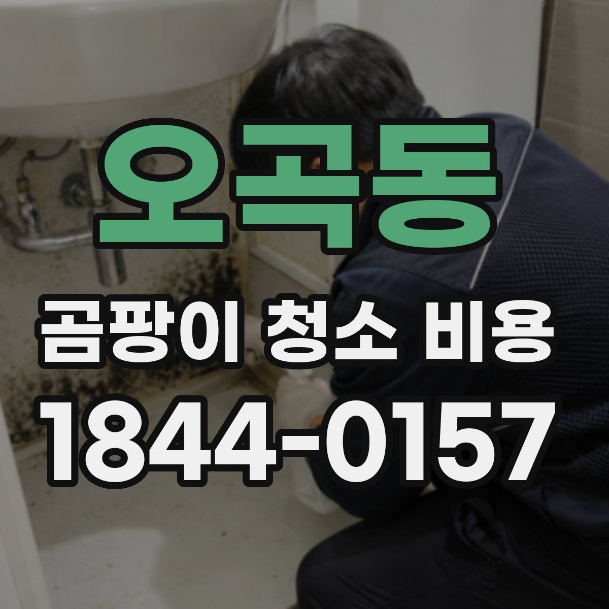 오곡동 곰팡이 청소 비용