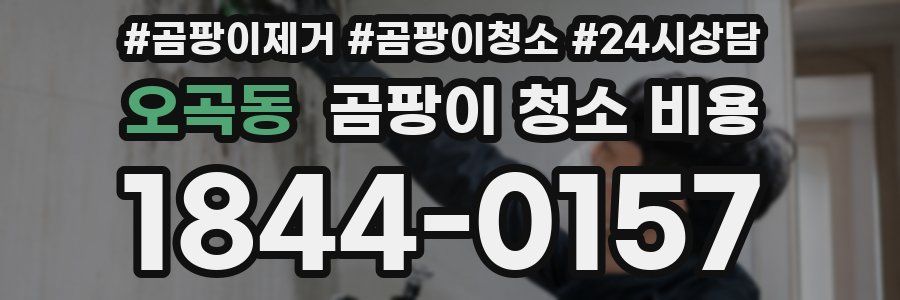 오곡동 곰팡이 청소 비용