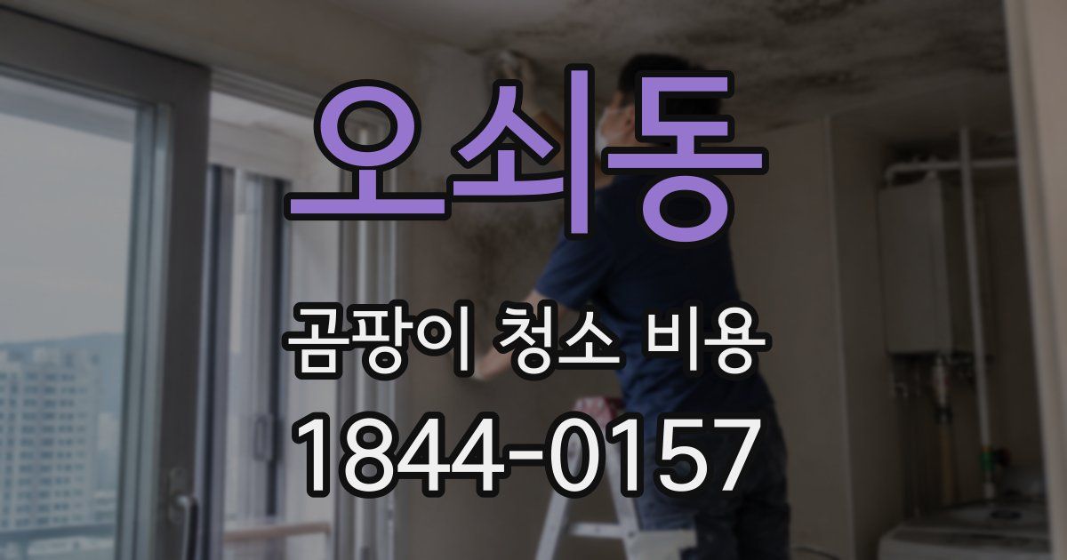 오쇠동 곰팡이 청소 비용