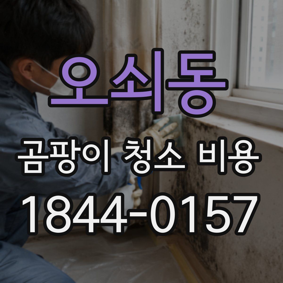 오쇠동 곰팡이 청소 비용