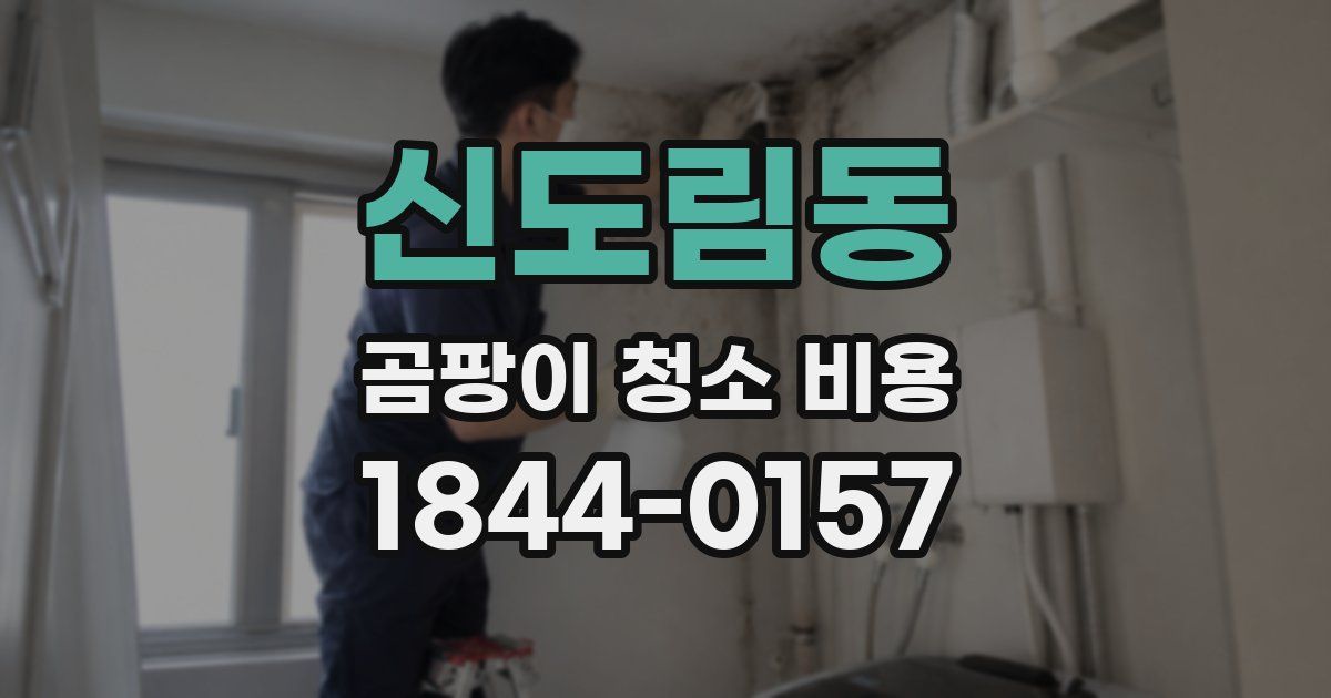 신도림동 곰팡이 청소 비용