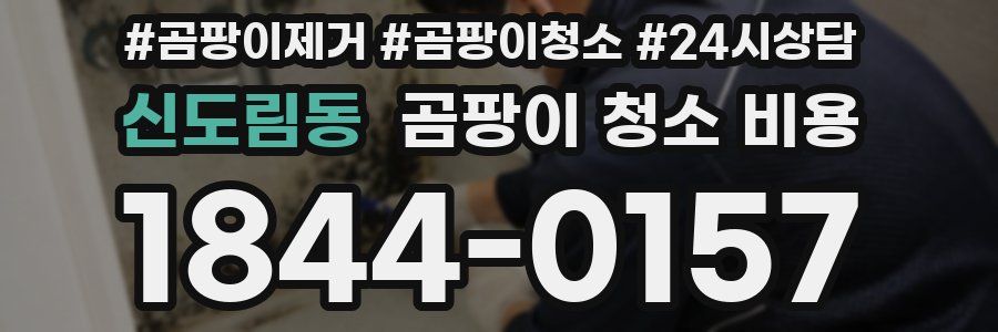 신도림동 곰팡이 청소 비용