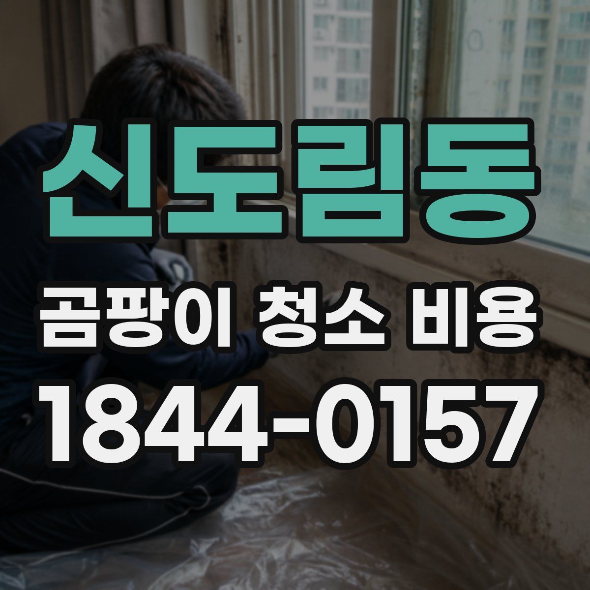 신도림동 곰팡이 청소 비용