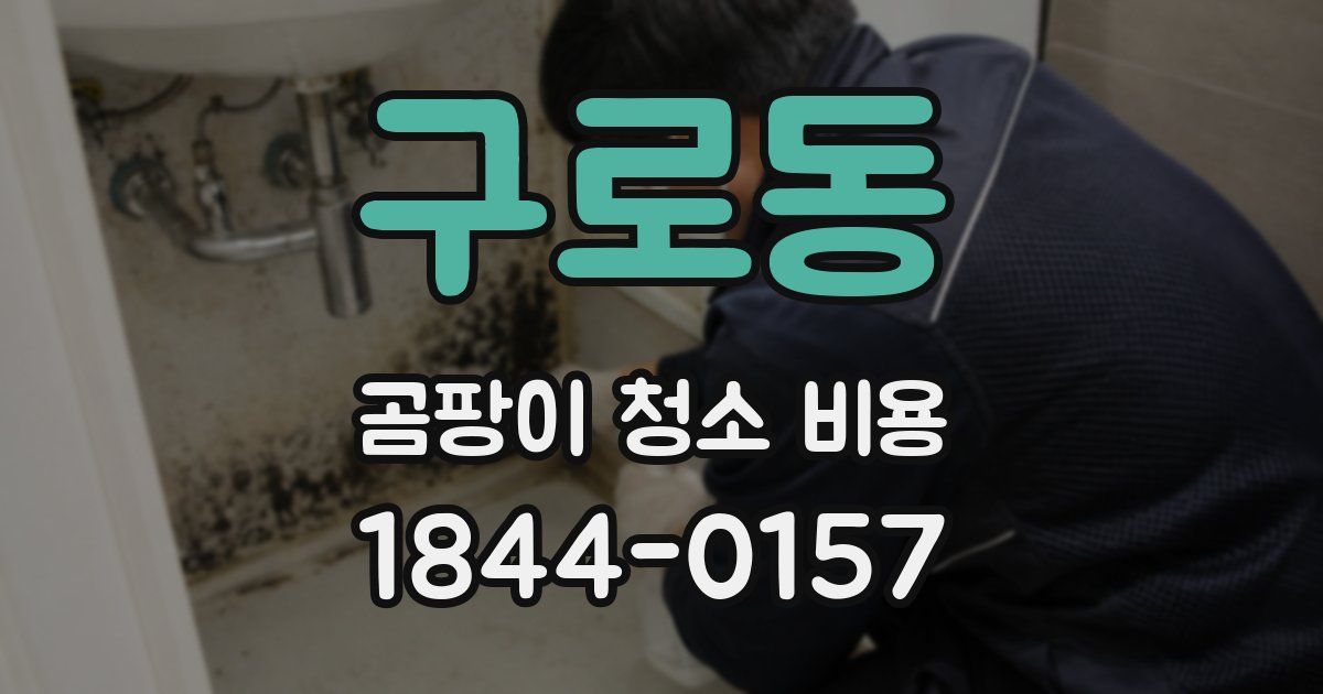 구로동 곰팡이 청소 비용