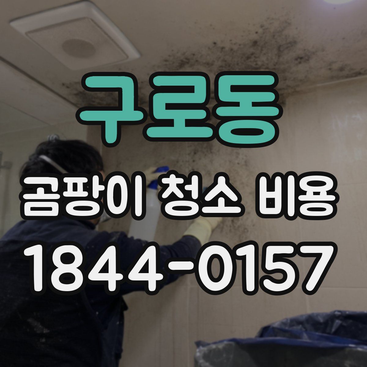 구로동 곰팡이 청소 비용