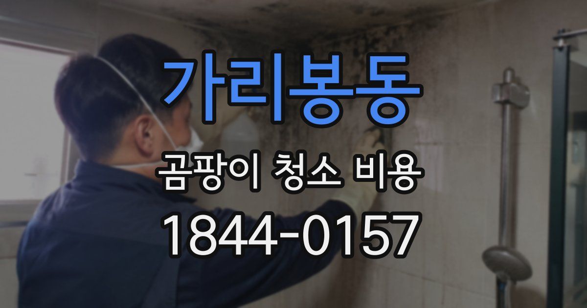 가리봉동 곰팡이 청소 비용