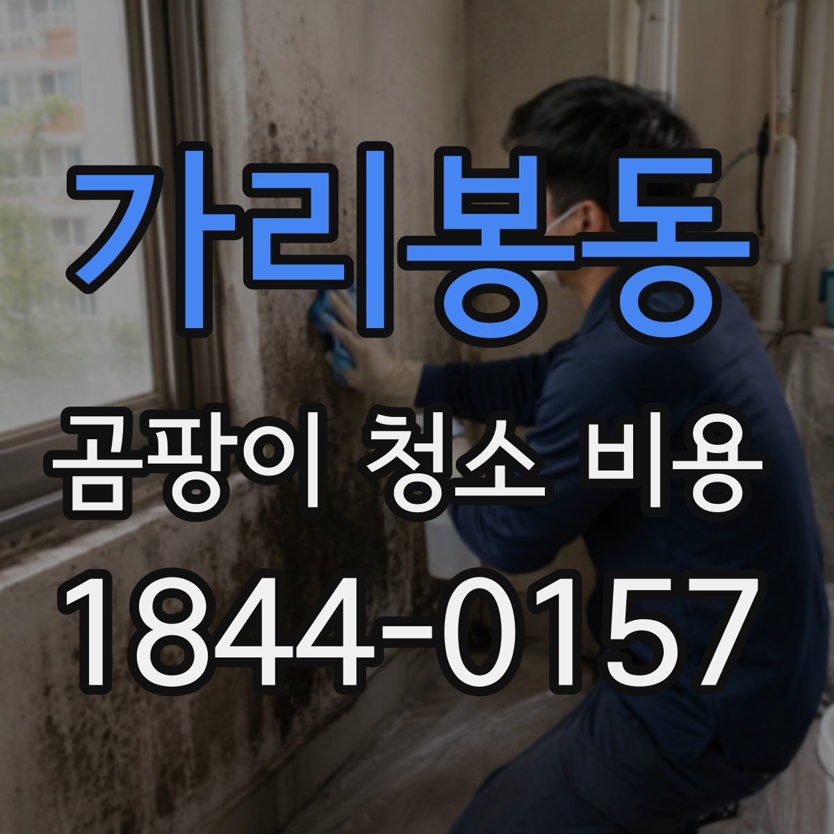 가리봉동 곰팡이 청소 비용