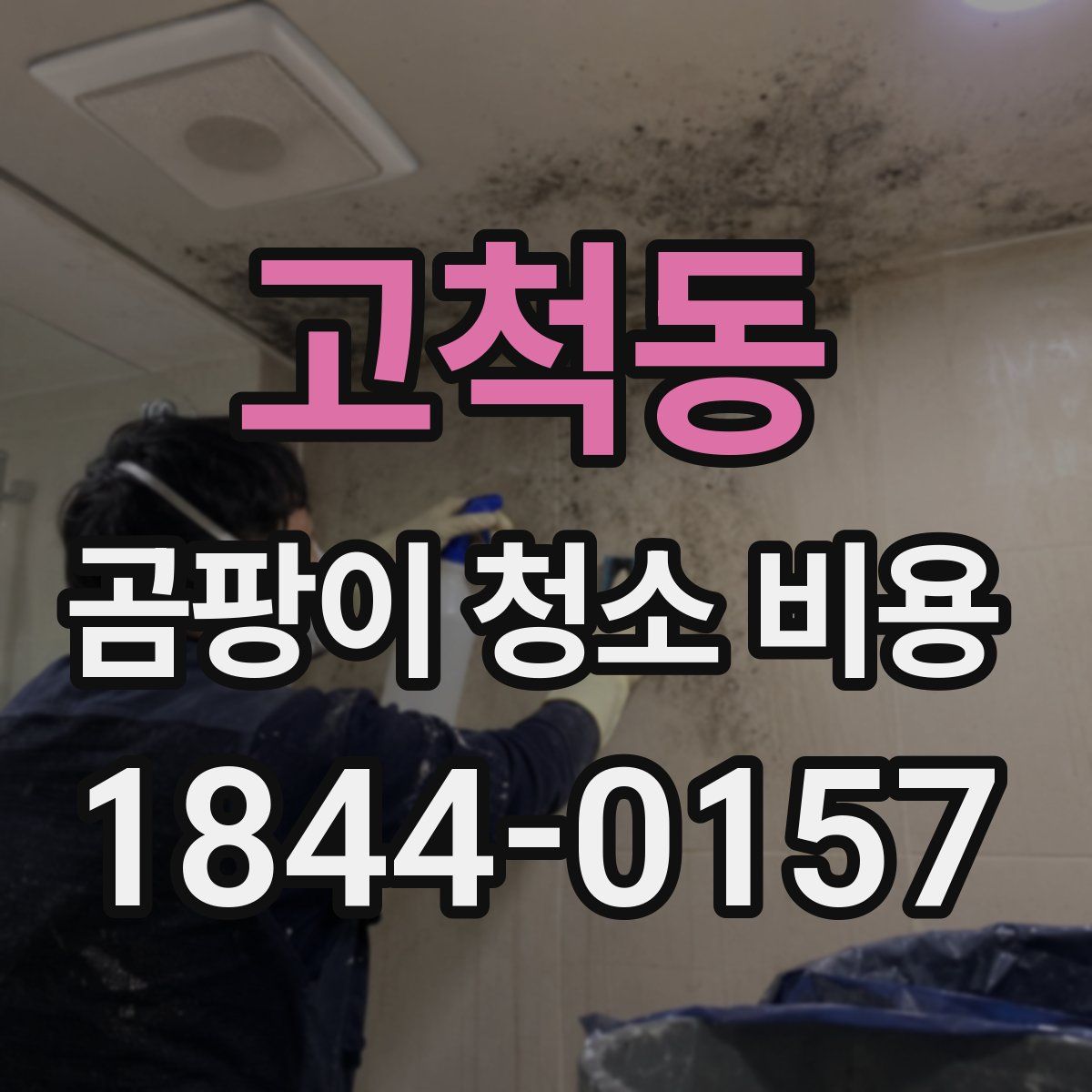 고척동 곰팡이 청소 비용