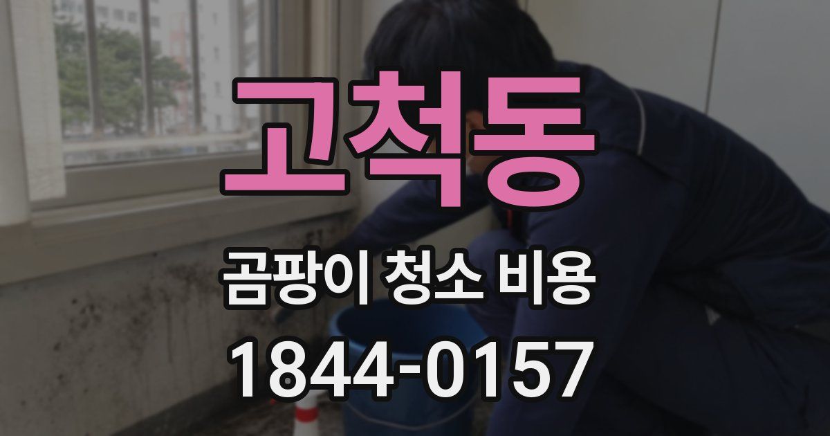 고척동 곰팡이 청소 비용