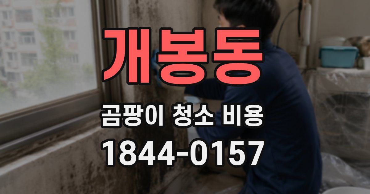 개봉동 곰팡이 청소 비용