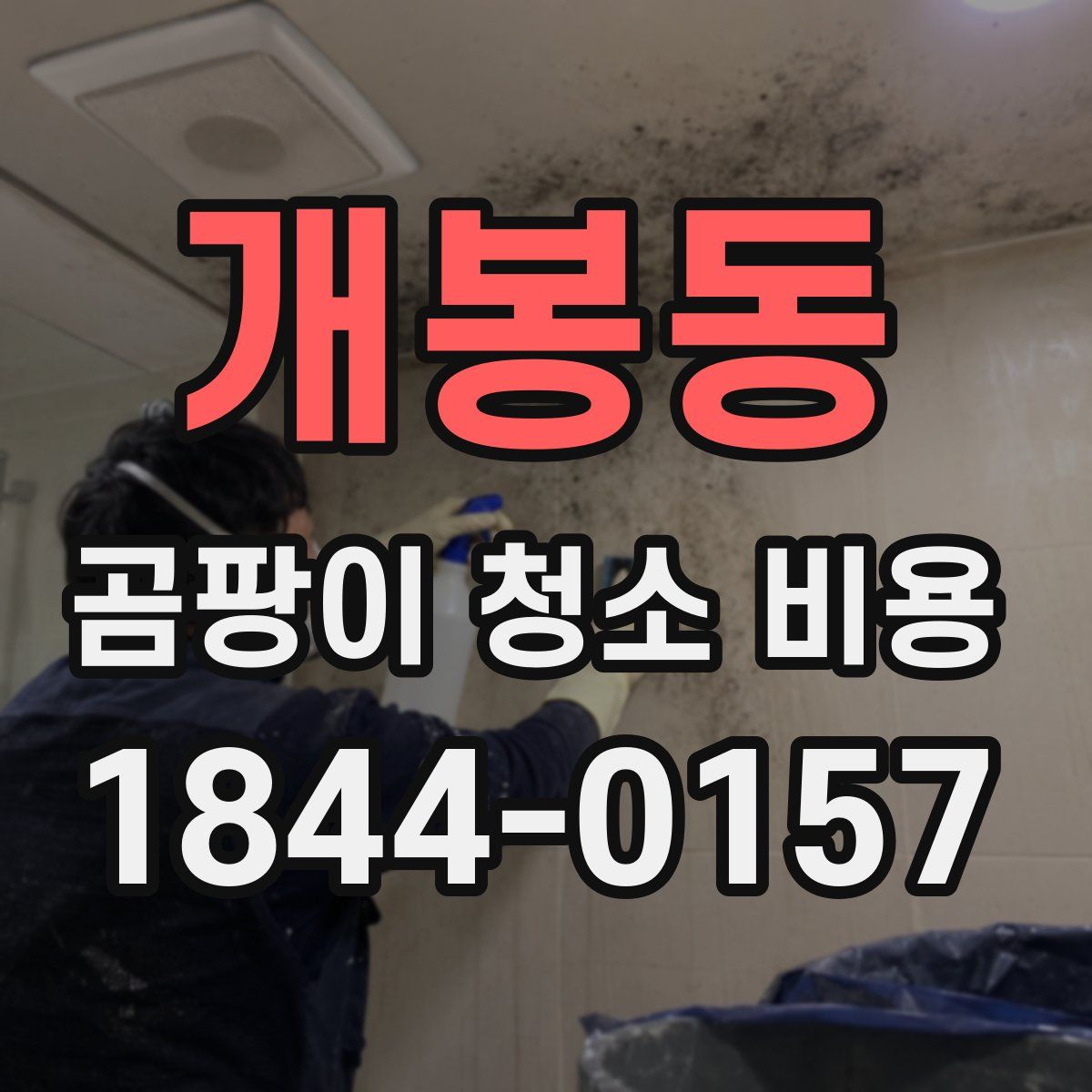 개봉동 곰팡이 청소 비용