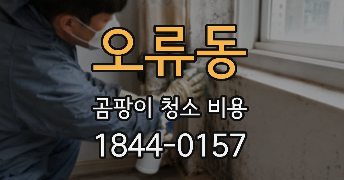 오류동 곰팡이 청소 비용