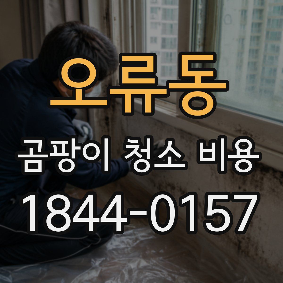 오류동 곰팡이 청소 비용
