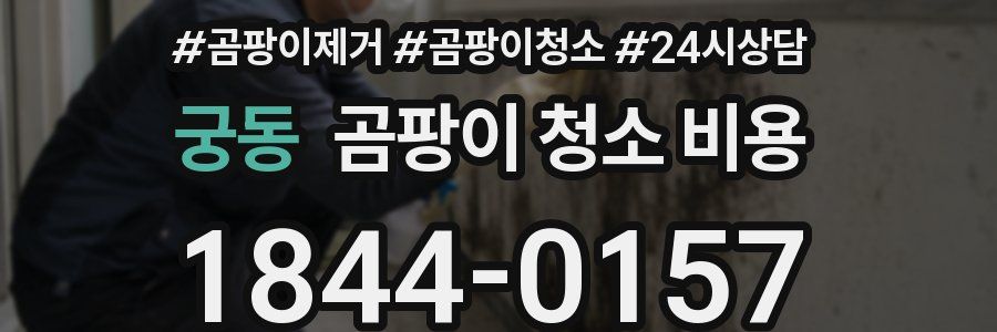 궁동 곰팡이 청소 비용