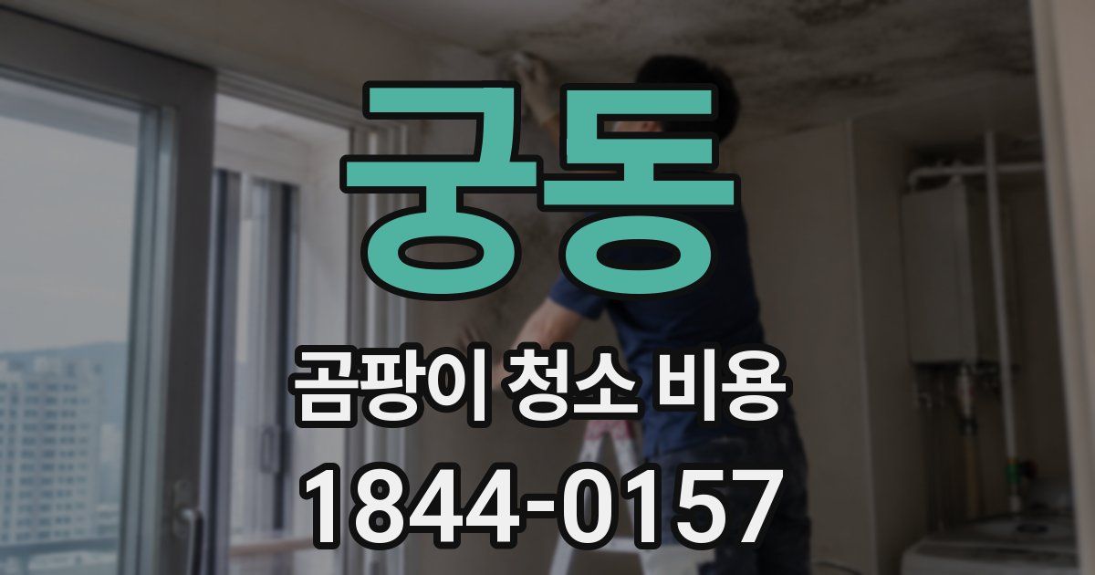 궁동 곰팡이 청소 비용
