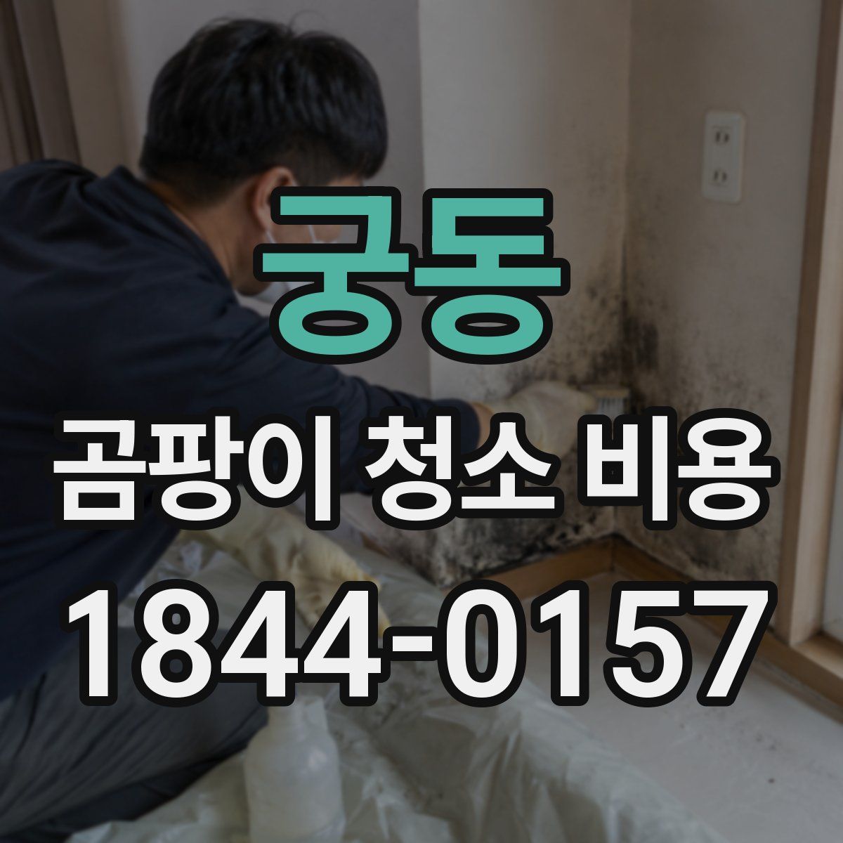 궁동 곰팡이 청소 비용