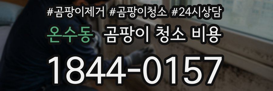 온수동 곰팡이 청소 비용