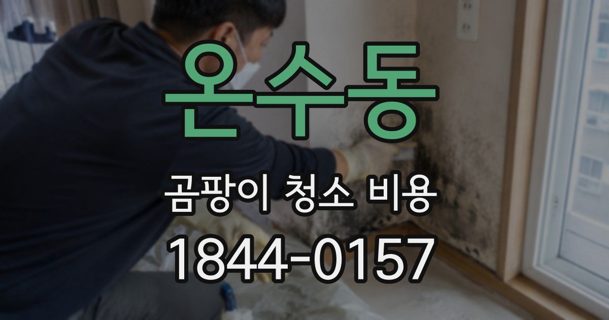 온수동 곰팡이 청소 비용