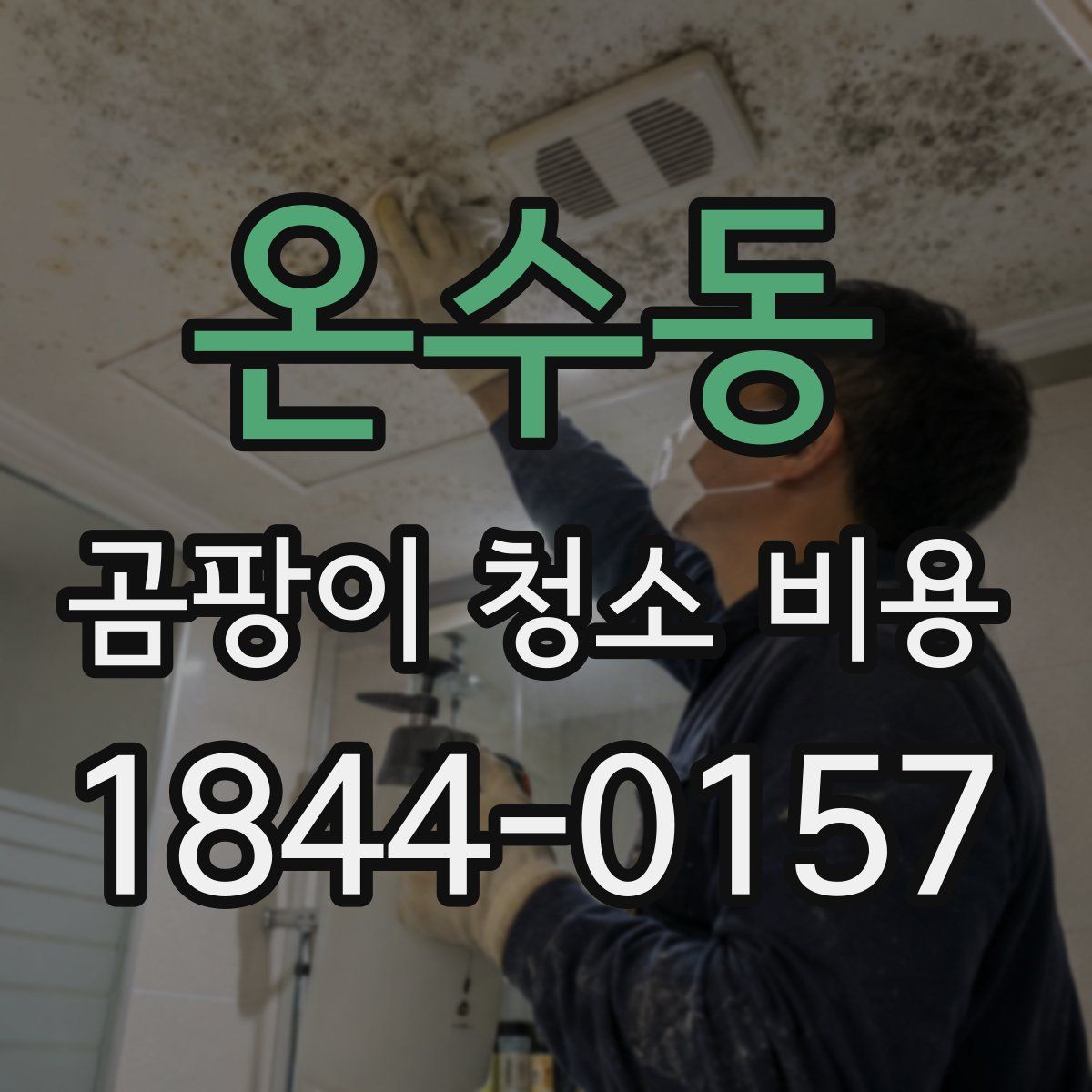 온수동 곰팡이 청소 비용