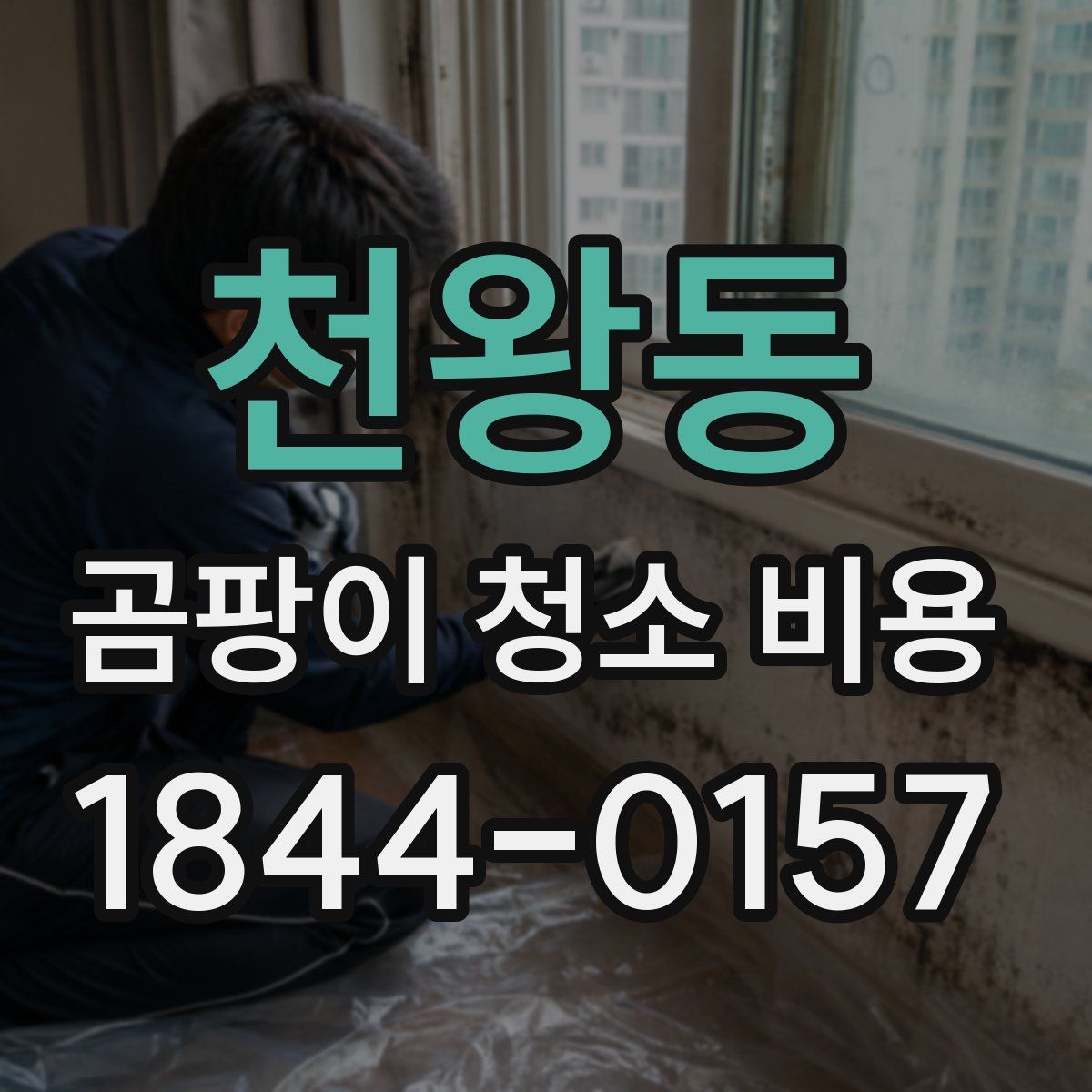 천왕동 곰팡이 청소 비용