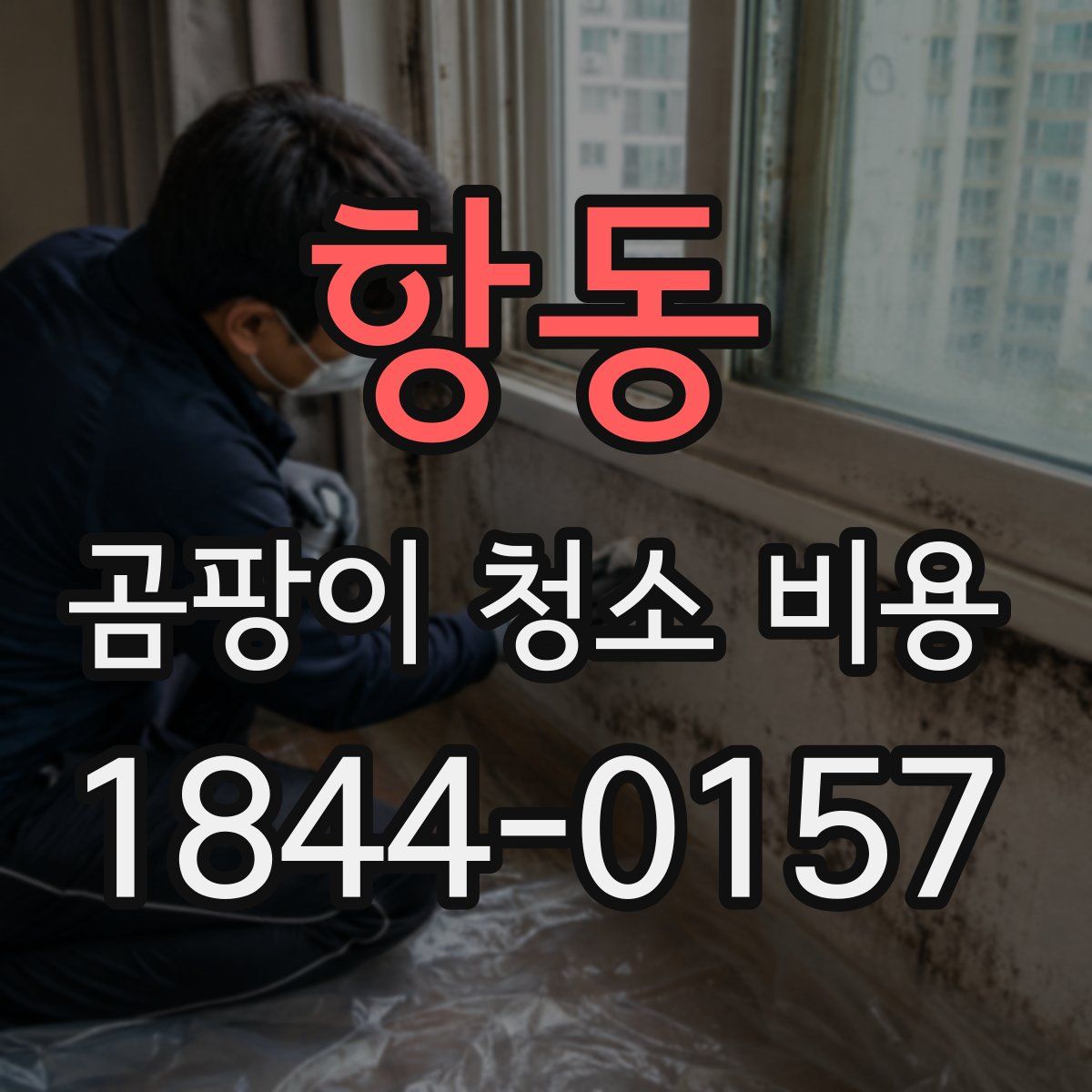 항동 곰팡이 청소 비용