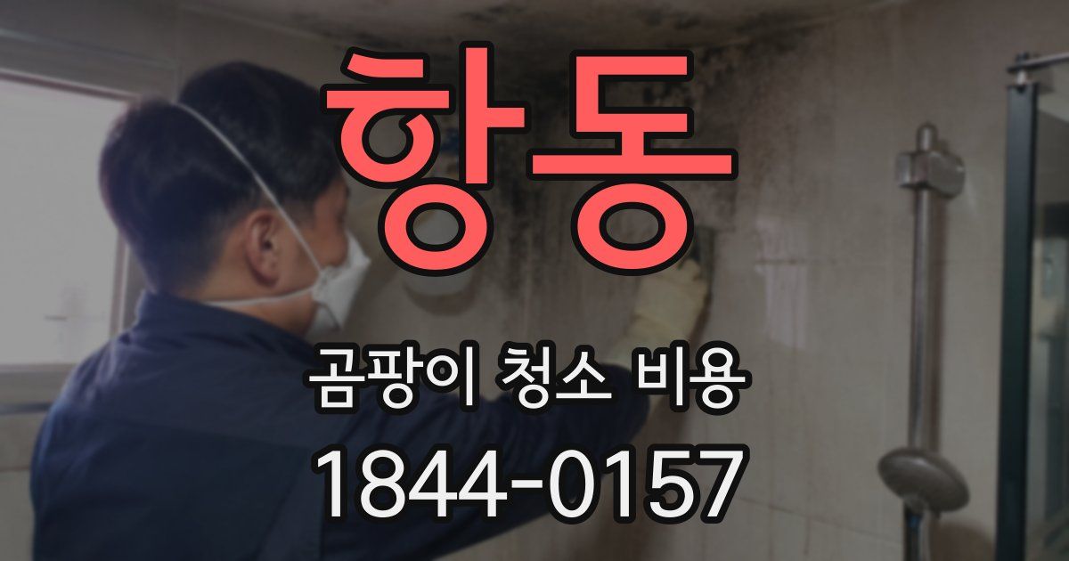 항동 곰팡이 청소 비용