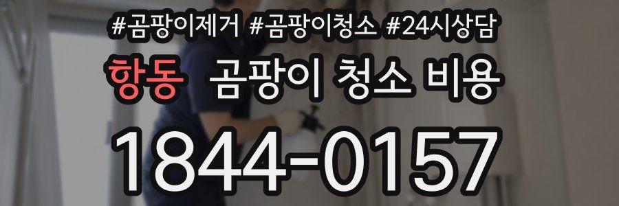 항동 곰팡이 청소 비용