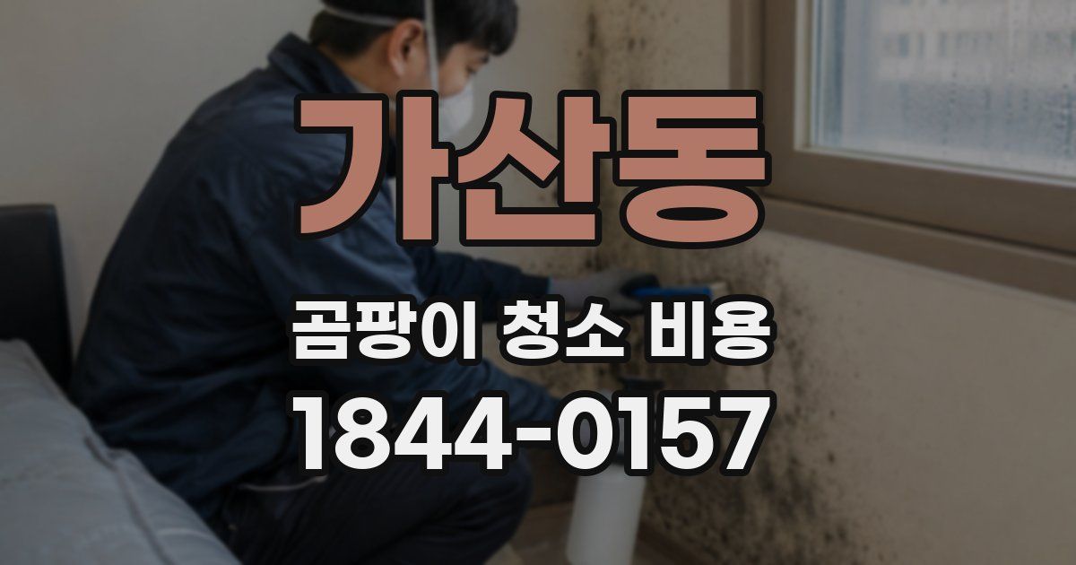 가산동 곰팡이 청소 비용