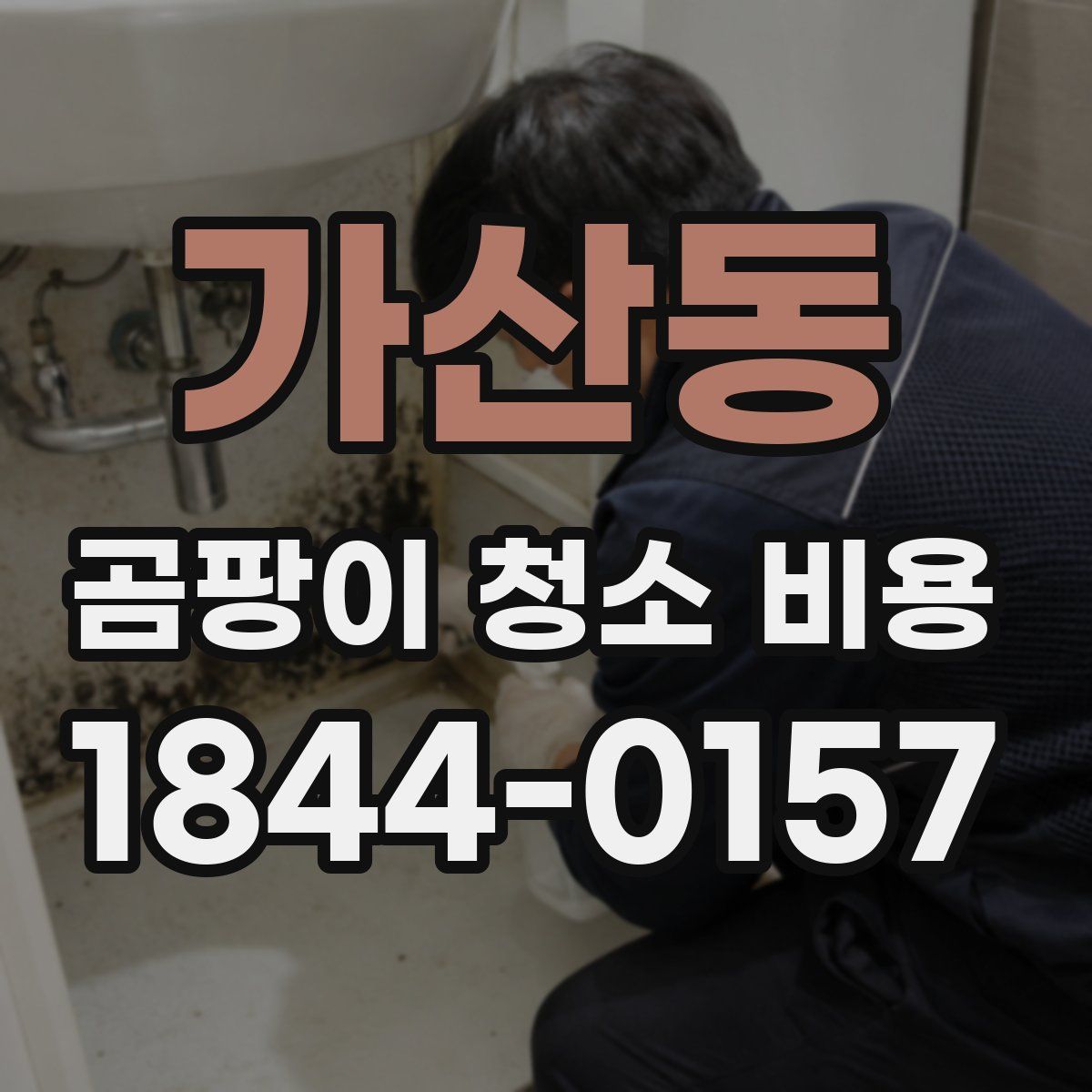 가산동 곰팡이 청소 비용