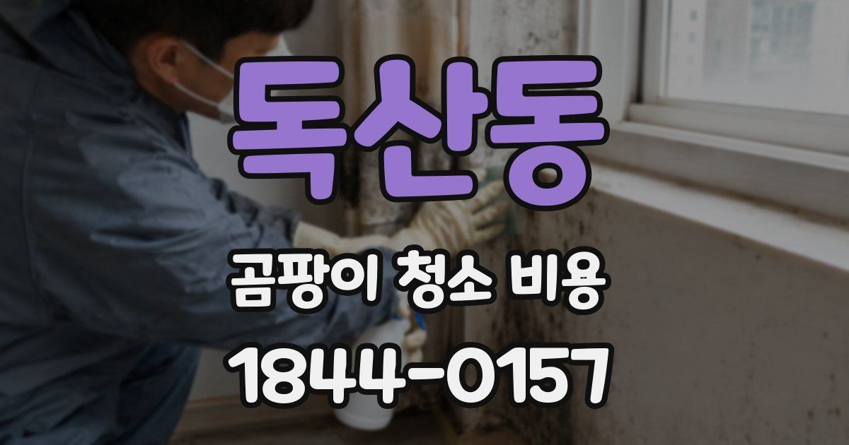 독산동 곰팡이 청소 비용